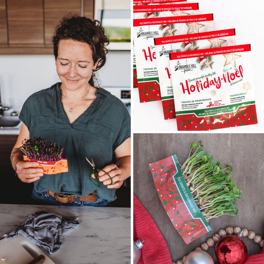 Bramble Hill Farm — Holiday Seed Trio